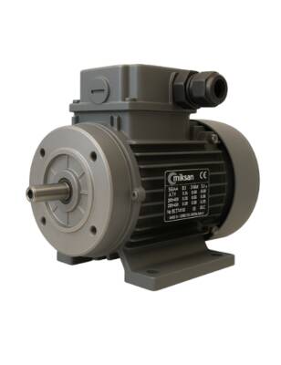 0,12 KW 1500 D/D ELEKTRİK MOTORU B34 220V - 1