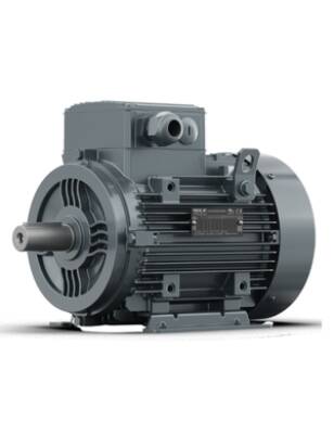 0,55 kW 1500 D/D 230V/400V Standart Motorlar B14 - 1