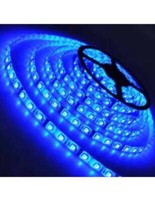 CATA CT-4484 10 Çip 5 Metre Şerit Led İç Mekan (Mavi) - 1