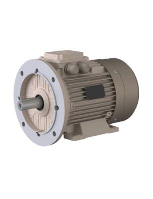 Omega 55 kW / 75 HP 1500 Devir (4 Kutup) IE3 Trifaze Motor, Pik Gövde Standart Tip B35 Ayaklı ve Büyük Flanşlı Mil Çapı 65 | 3MGS 250MA4 B35 - 1