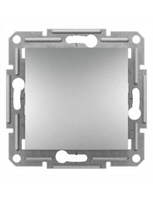 Schneider Asfora Alüminyum Kör Kapak Çerçevesiz - EPH5600161 - 1