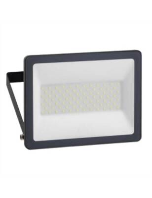 Schneider IMT47213 50W 6500K LED Projektör IP65 230V - 1