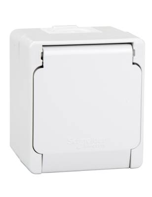 Schneider Nemliyer Kapaklı Topraklı Priz NML3100133 - 1